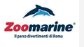 newsletter di Campermagazine